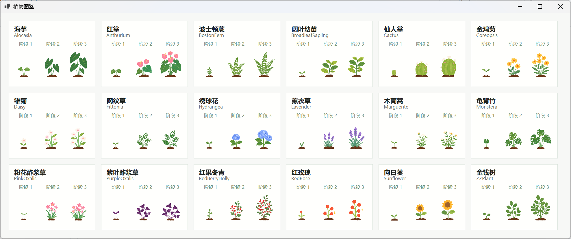 Lovely Plants 产品界面 2